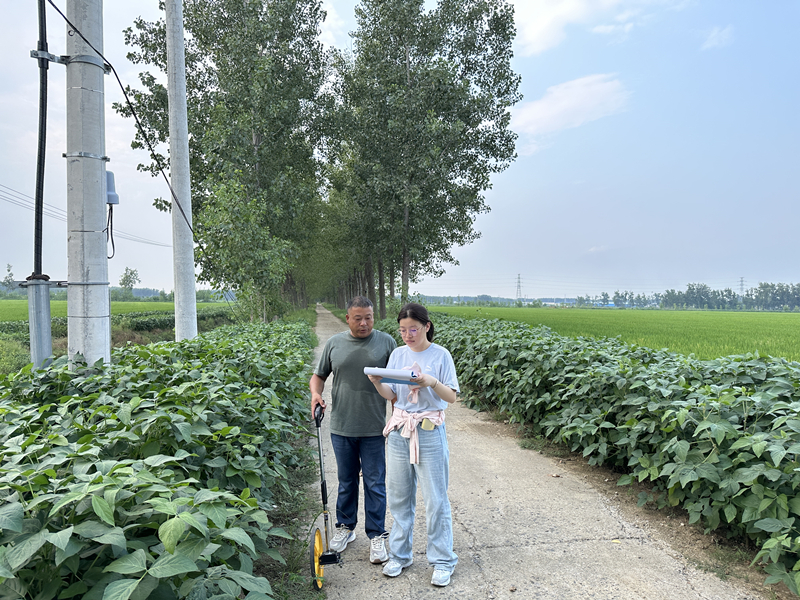 淮安洪泽审计:关注供电安全 做好安全卫士