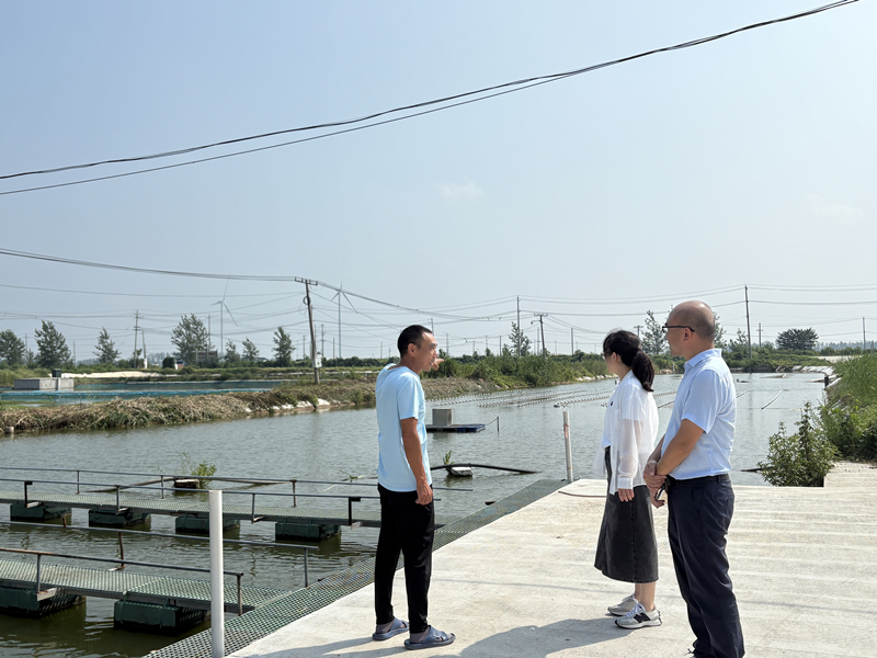 淮阴区审计局：关注养殖池塘生态化改造  助推...