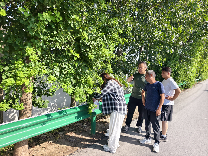 2.淮安市淮安区审计：关注农村公路安防工程建设和管护情况_副本.jpg