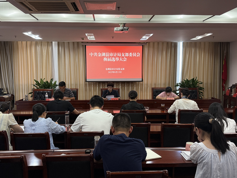 金湖县审计局党支部圆满完成换届选举工作_副本.jpg