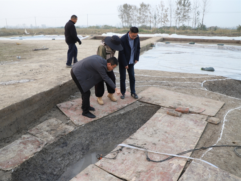 淮安审计：关注考古遗址保护，守护历史文脉