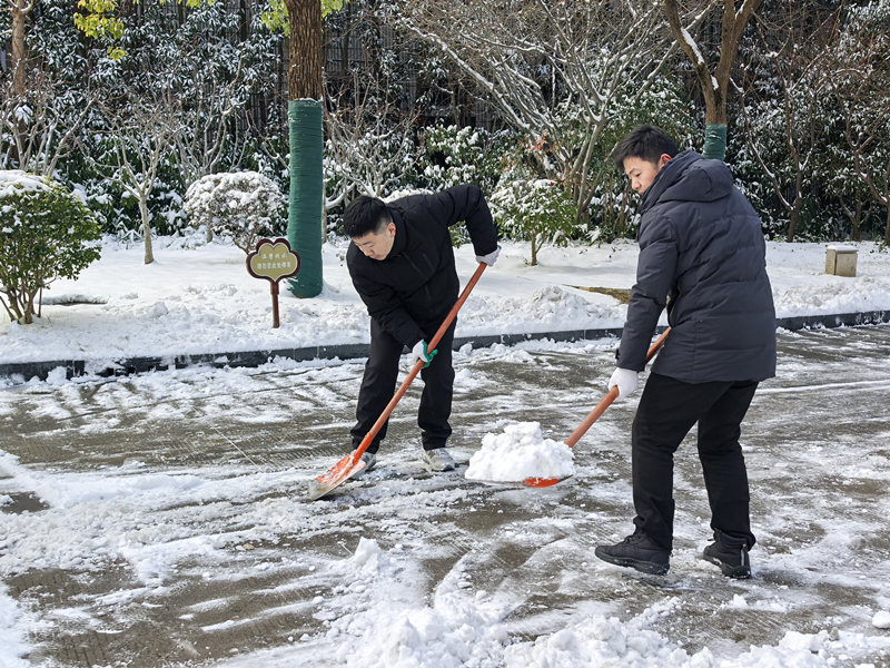 市审计局携手府前街道扫雪除冰保畅通
