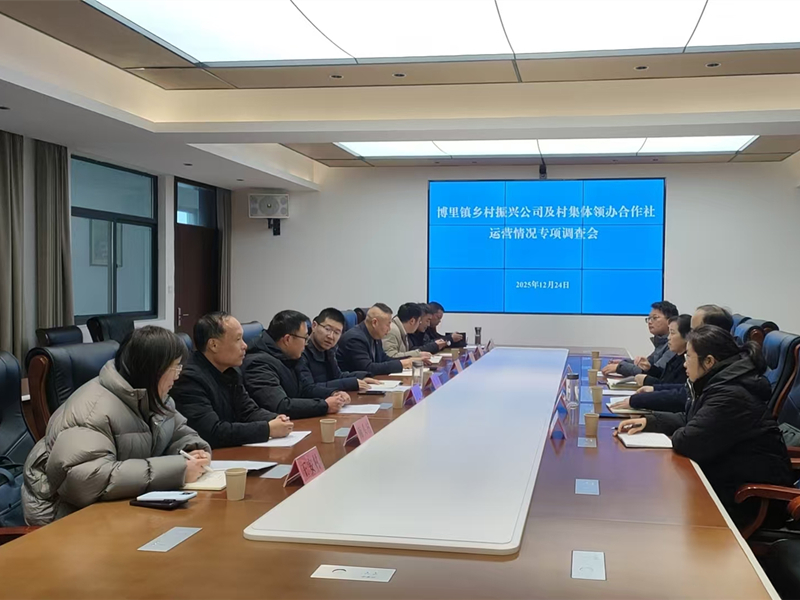 淮安区审计局：把脉村集体运营 助力博里乡村振...