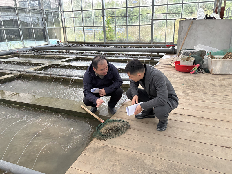 市审计局：助力国企融资“蚌”紧弦