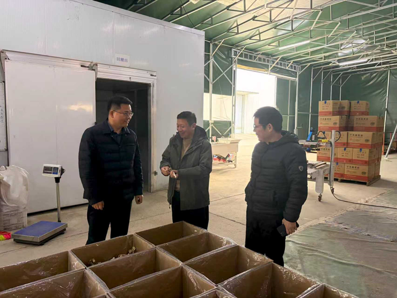 淮安盱眙审计：走访帮办企业 精准服务促发展