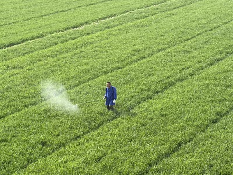 淮安区审计：聚焦合作社生产经营 护航农业产业...