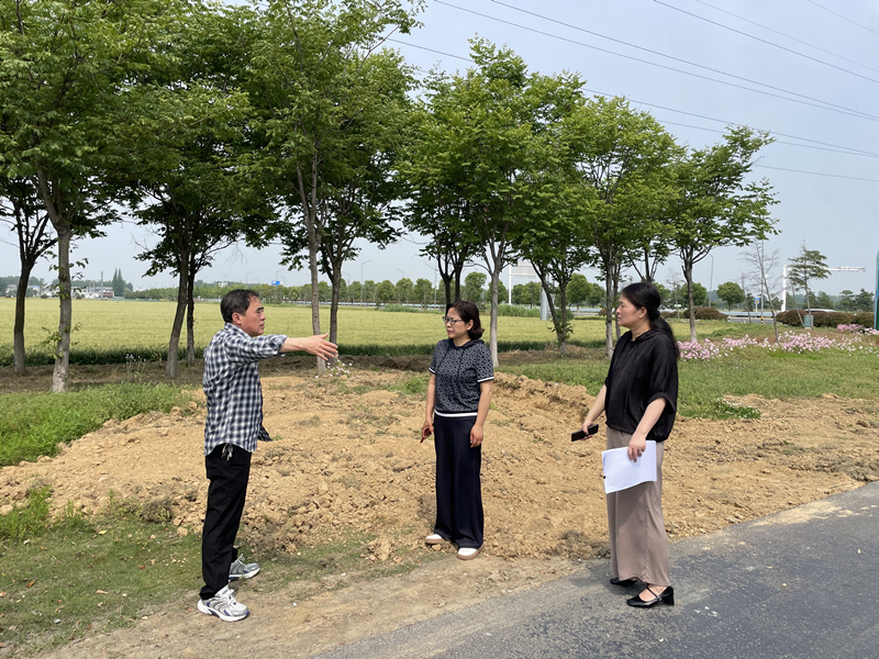 图为督查组在S247省道洪泽段实地查看绿化养护整改落实情况_副本.jpg