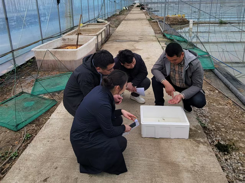 护航产业融合 赋能乡村振兴（王思远、蒋佩恒）_副本_副本.jpg