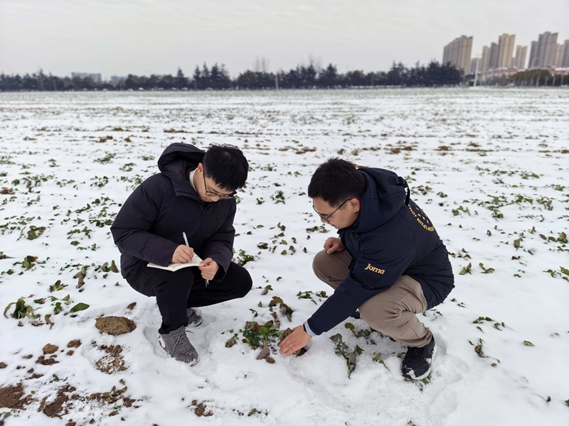 市审计局：为田野把脉 为绿色护航_副本.jpg