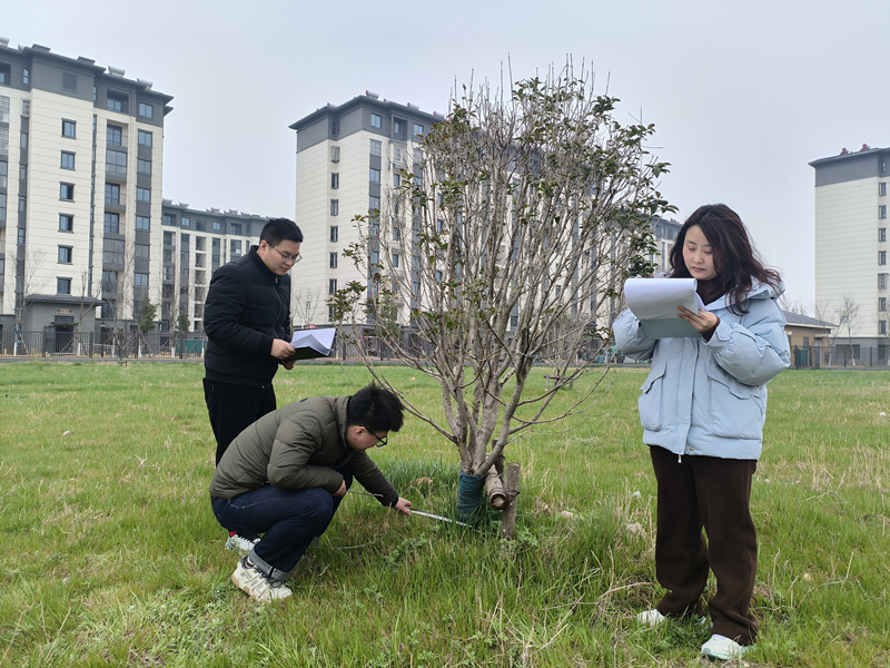 淮安盱眙审计：把脉人居环境提升 护航群众安居福祉