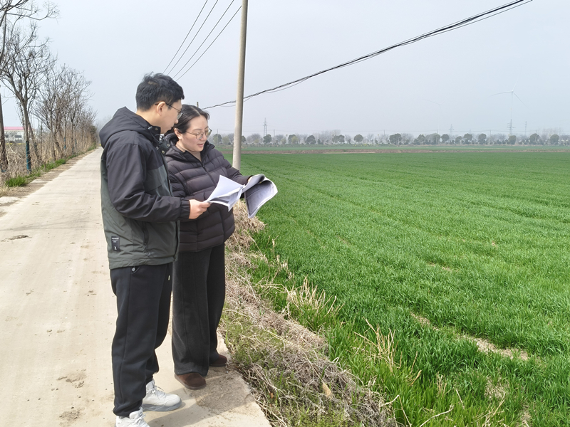 淮安区审计局：“非粮化”整改见实效 审计监督...