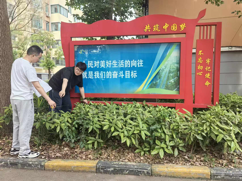 淮安洪泽审计：关注绿化实施效果