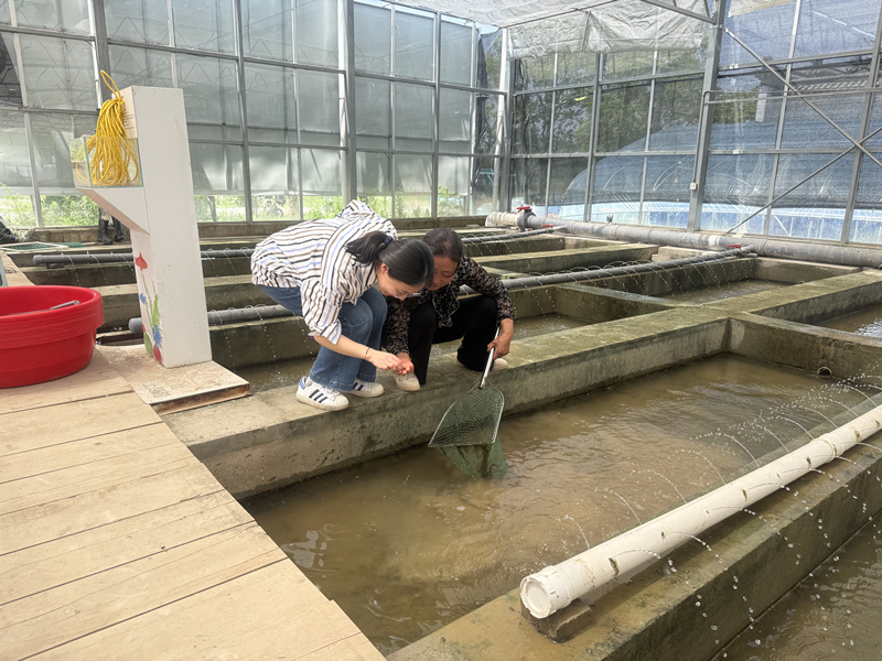 淮安淮阴审计：助力规范水产养殖自然资源利用管...