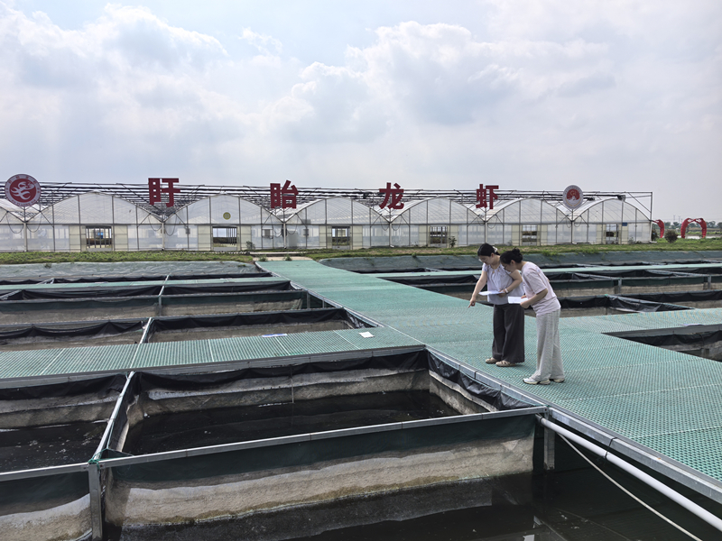淮安盱眙审计：紧盯龙虾繁育项目 推动衔接资金...